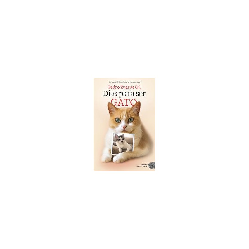 Días para ser gato Días para ser gato