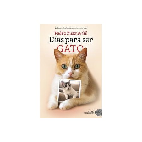 Días para ser gato