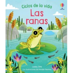 Las ranas  Ciclos de la vida