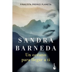 Un océano para llegar a ti