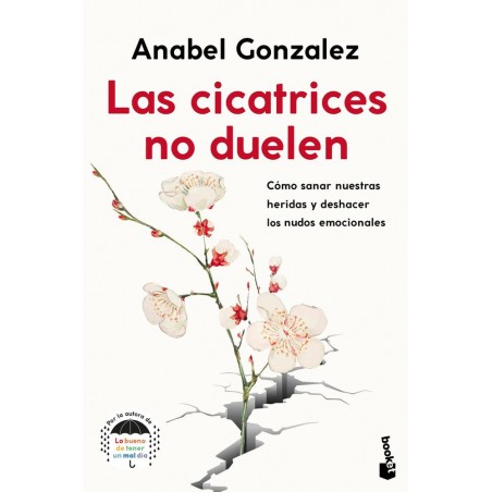 Las cicatrices no duelen