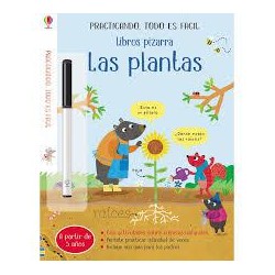Las plantas. Libro pizarra.