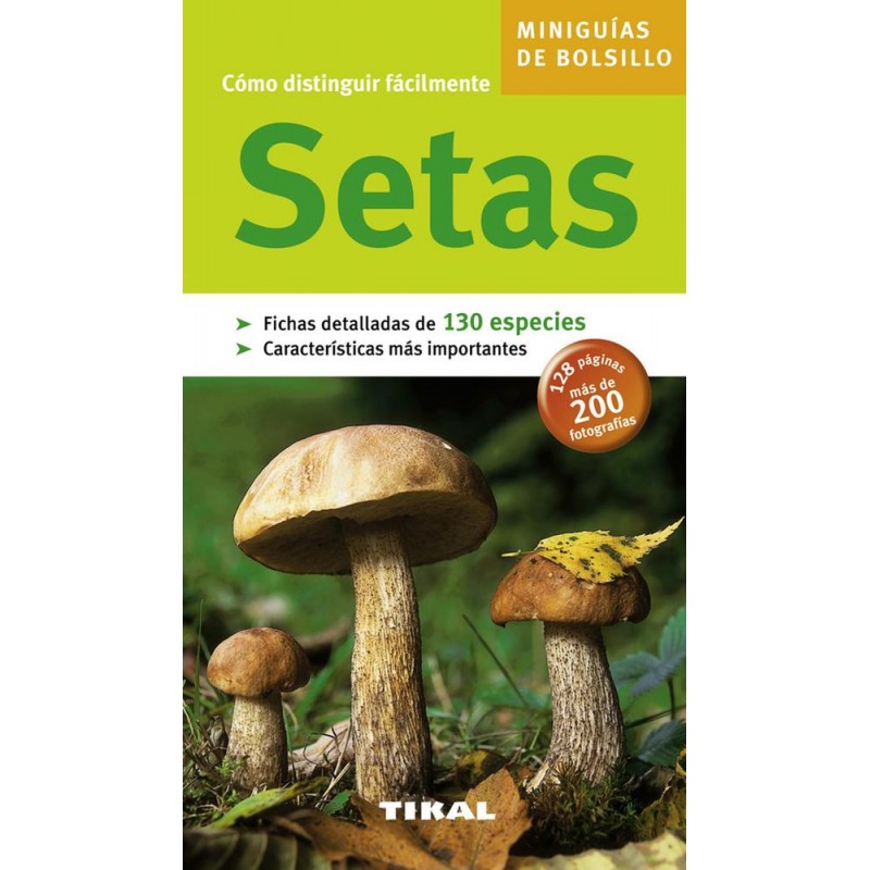 Setas Setas