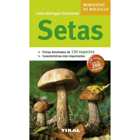 Setas