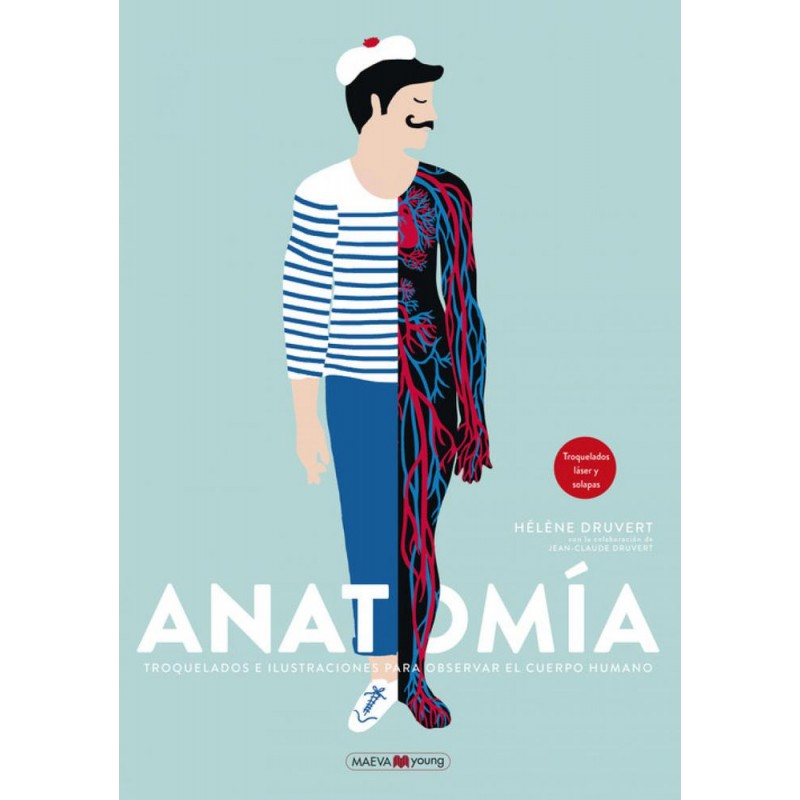 Anatomía Anatomía