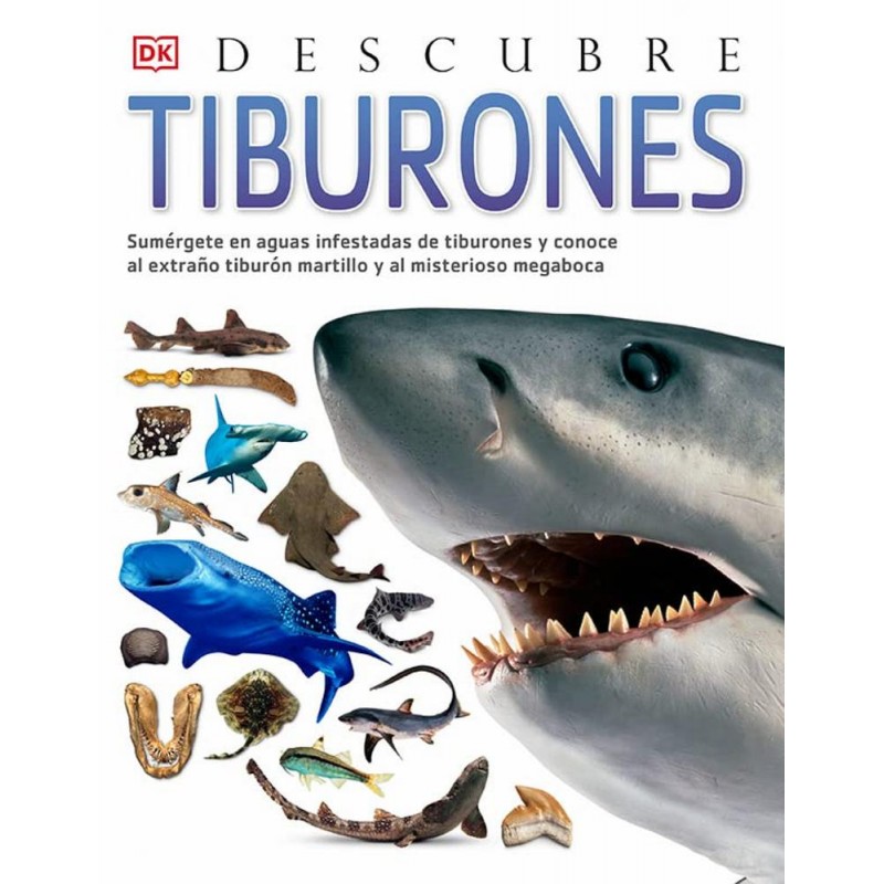 Descubre tiburones