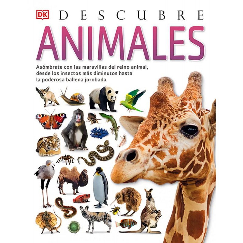 Descubre animales Descubre animales