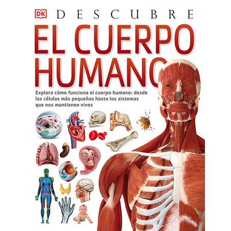 Descubre el cuerpo humano