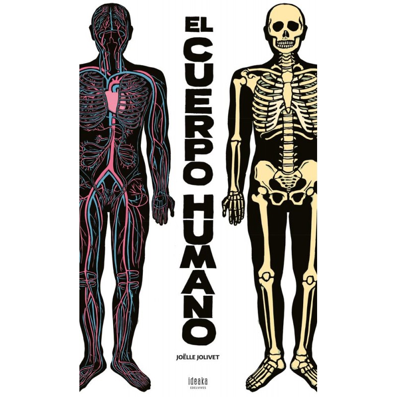 El cuerpo humano El cuerpo humano