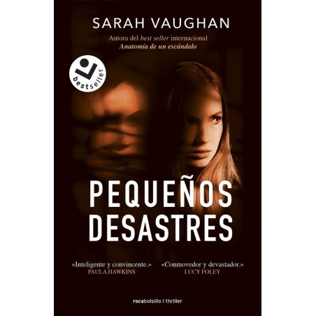 Pequeños desastres