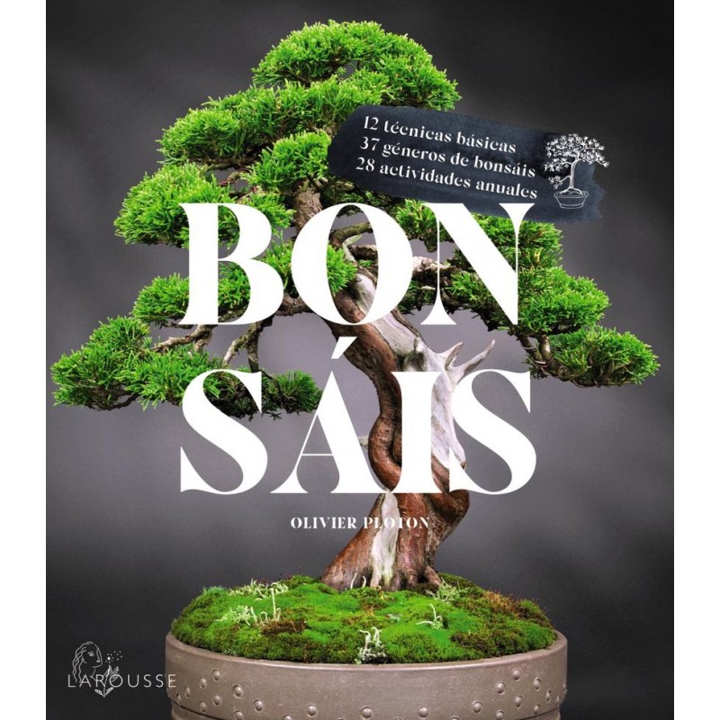 Bonsáis Bonsáis