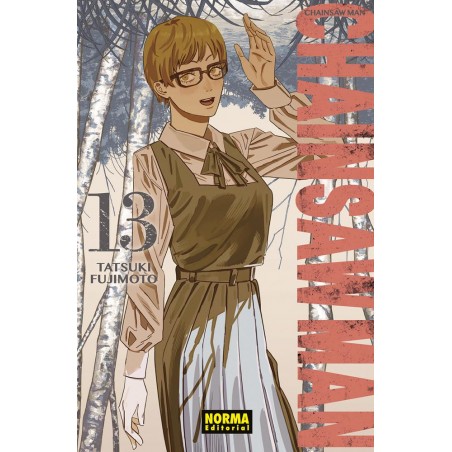 Chainsaw man 13