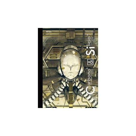 Carbono y Silicio
