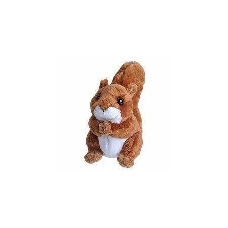 Peluche ardilla pocketins