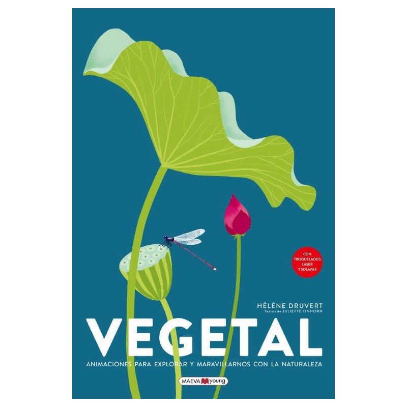 Vegetal Vegetal