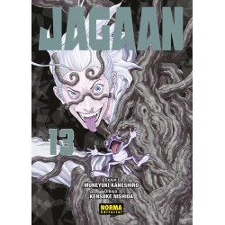 Jagaan 13