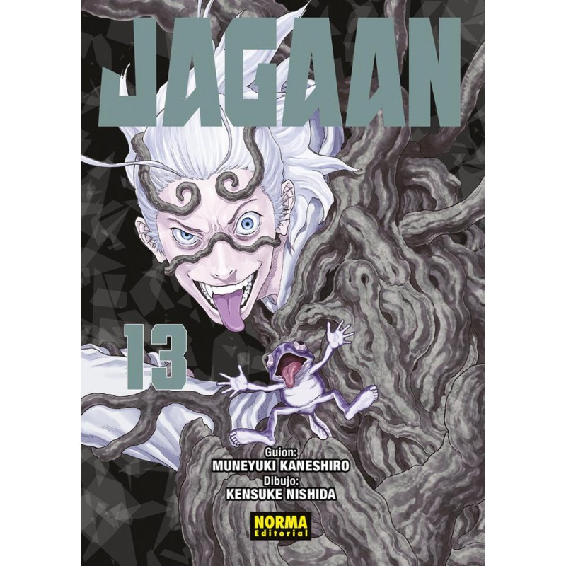 Jagaan 13 Jagaan 13