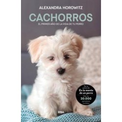 Cachorros  El primer año de la vida de tu perro