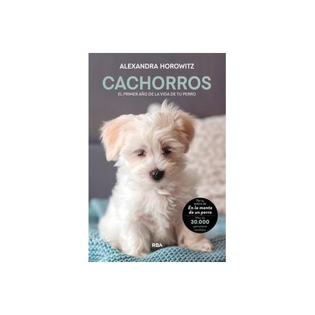 Cachorros  El primer año de la vida de tu perro