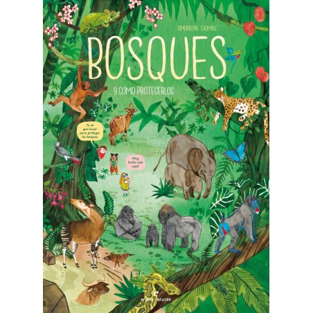 Bosques    y cómo protegerlos