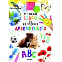 Mi gran libro de primeros aprendizajes