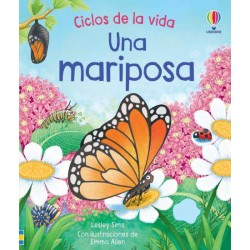 Una mariposa