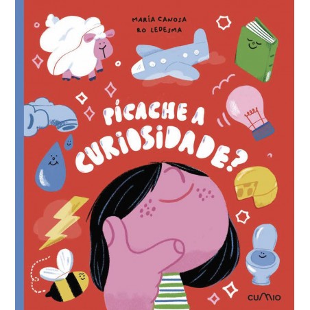 Pícache a curiosidade 
