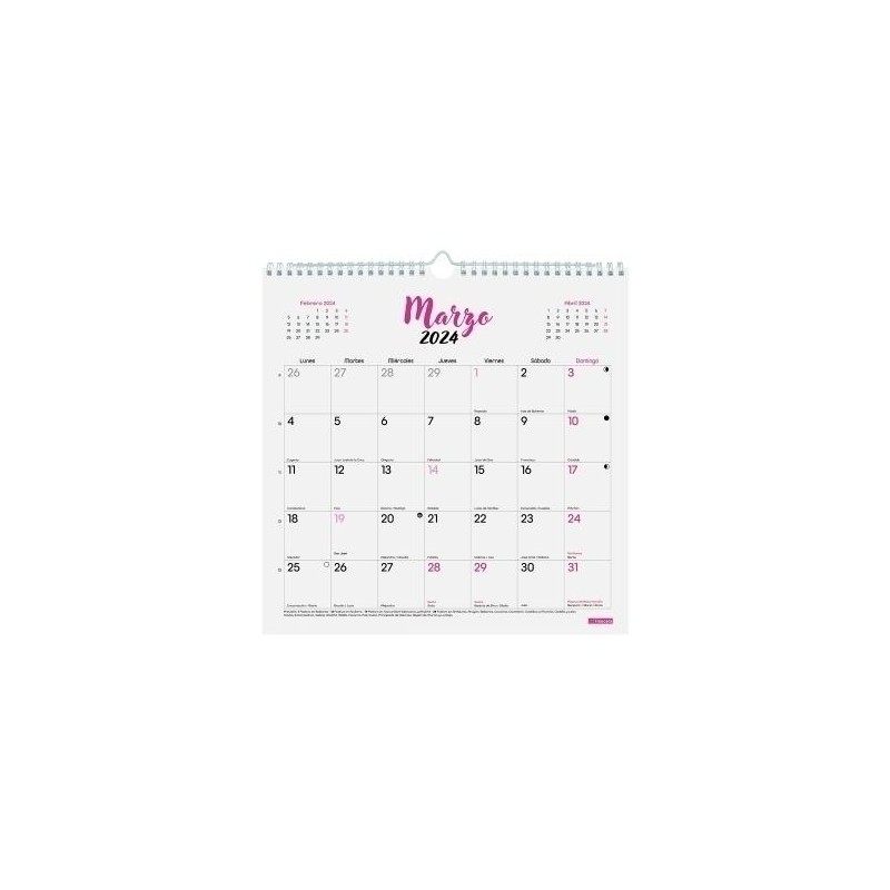 Calendario Chic anual de pared con espacio diario 