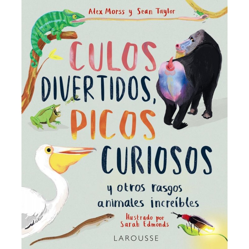 Culos divertidos picos curiosos Culos divertidos picos curiosos