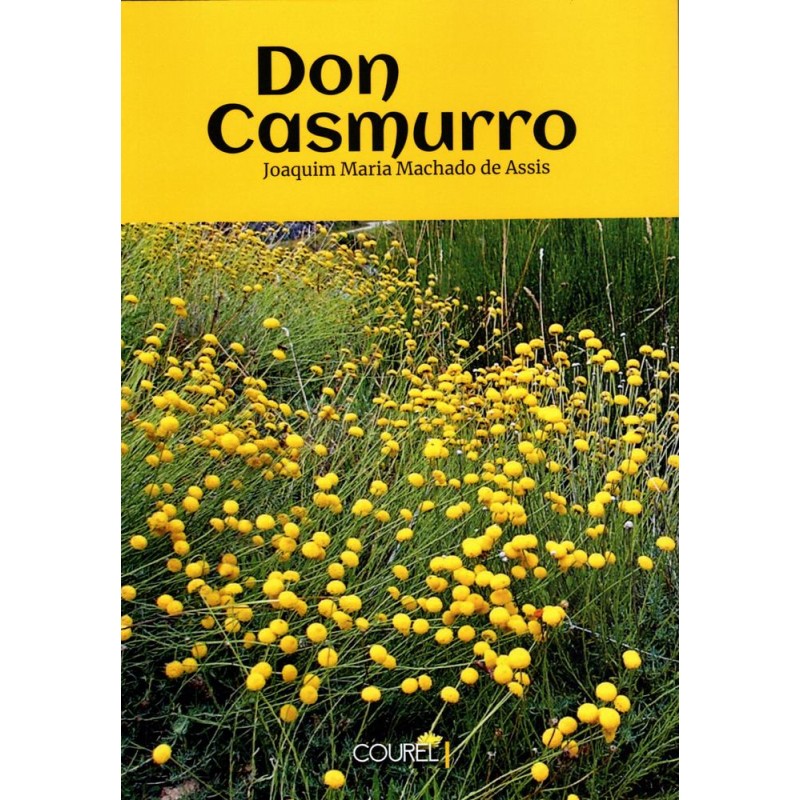 Don Casmurro Don Casmurro