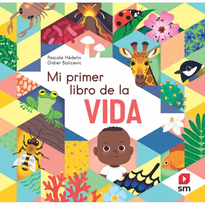 Mi primer libro de la vida Mi primer libro de la vida