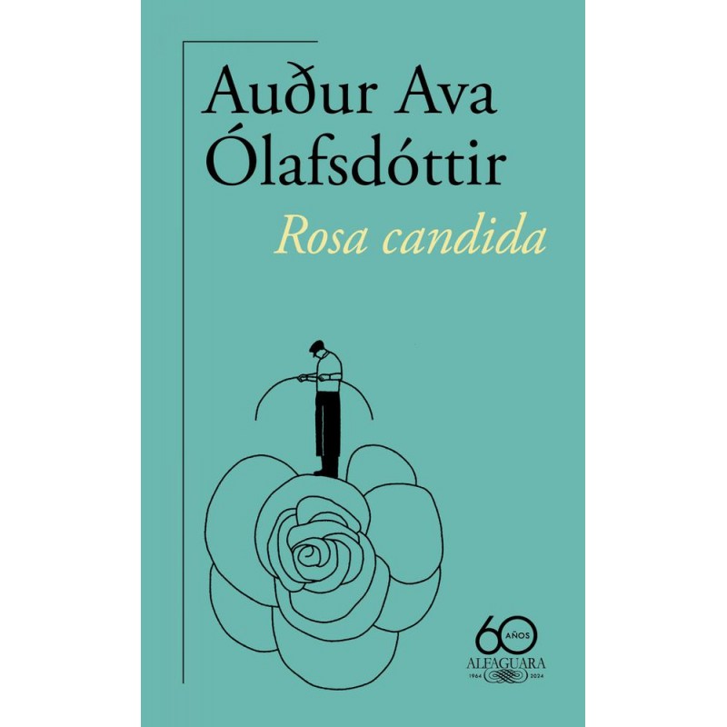Rosa candida Rosa candida