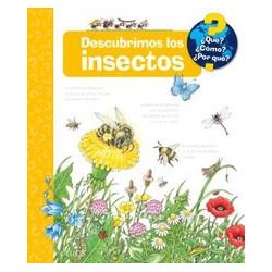 Que     descubriendo los insectos