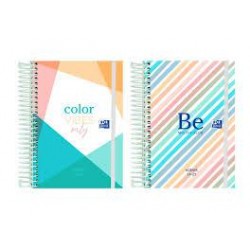 Agenda escolar 24-25 color block 8º dp