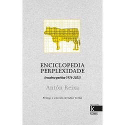 Enciclopedia perplexidade