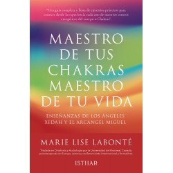 Maestro de tus chakras  maestro de tu vida