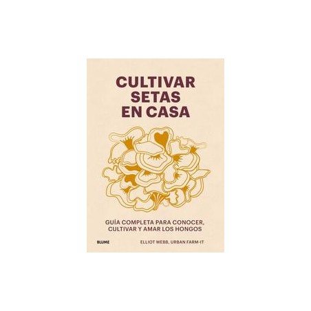 Cultivar setas en casa