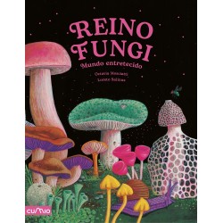 Reino Fungi  Mundo entretecido