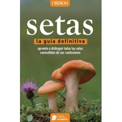 Setas  guía definitiva