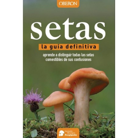 Setas  guía definitiva