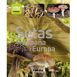 Setas de españa y europa