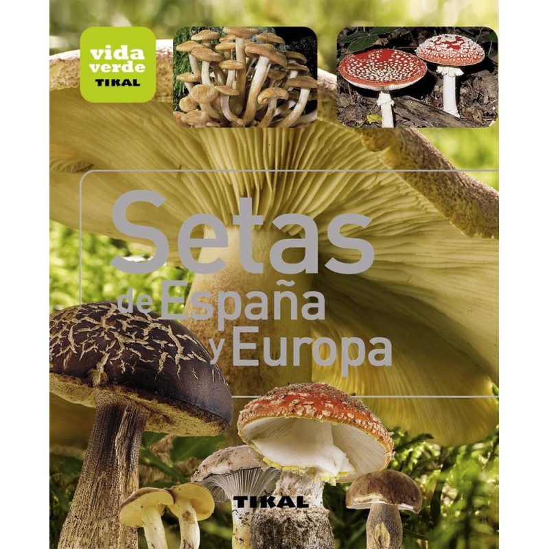 Setas de españa y europa Setas de españa y europa