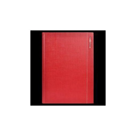 Agenda didex skype 17x24cm encuadfernada D/P rojo