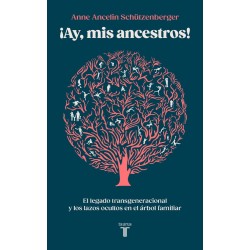Ay  mis ancestros   Serie Great Ideas 22 