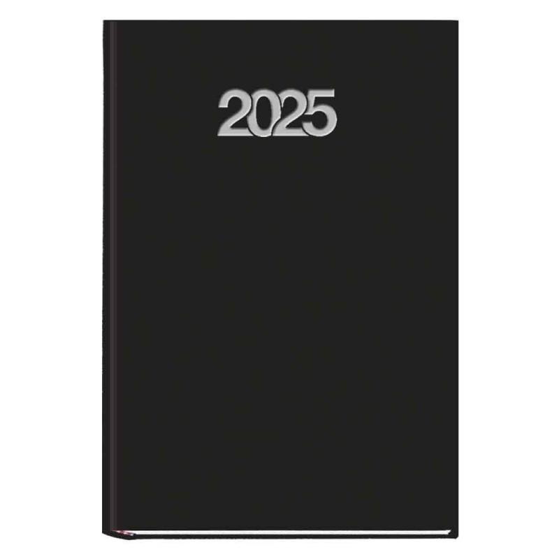 Agenda anual 2025 praxi axul dp