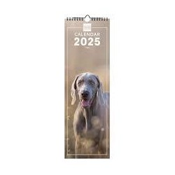 Calendario 2025 pared espiral 15x48 dogs