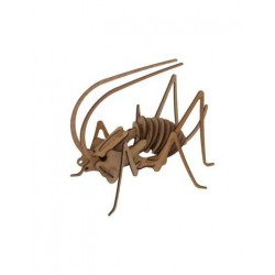 Maqueta grillo pocket 3D 2 planchas D2