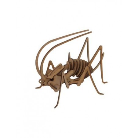 Maqueta grillo pocket 3D 2 planchas D2