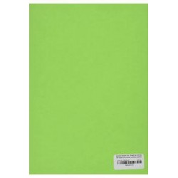 Papel A4 100 hojas verde billar gvarro
