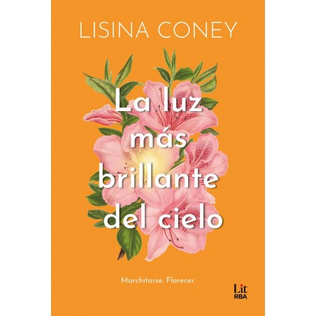 La luz más brillante del cielo